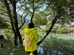 -龙湾潭国家森林公园