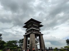 -大湾区中央湿地公园