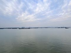 -鱼嘴湿地公园