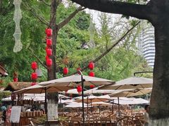 -成都市活水公园