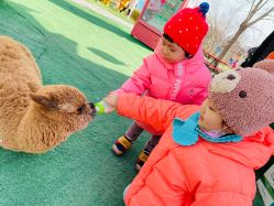 -萌宠亲子动物乐园(槐房万达店)