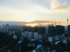 -金鸡山公园