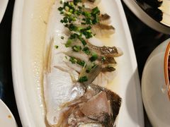 -柳园春天特色餐厅(南浔古镇店)