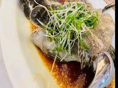 -顺峰(农展馆店)