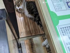 -玉椰林甜品店(创始店)