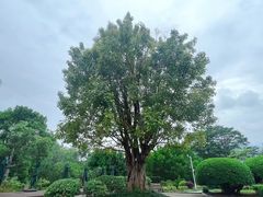 -福建鲤鱼洲酒店