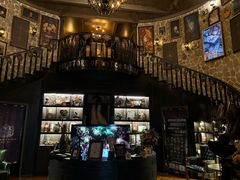 -雪灵魔法世界SHELLY’S TAROT(大良桂畔里店)