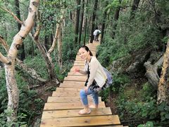 -白草畔自然风景区