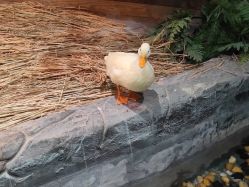 -Zoolung Zoolung动物主题公园(海信广场店)