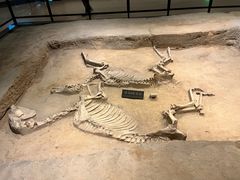 -洛阳周王城天子驾六博物馆