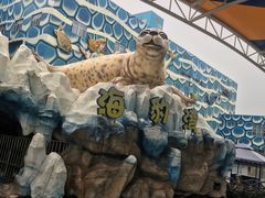 -华夏文旅海洋公园