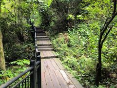 -杭州半山国家森林公园