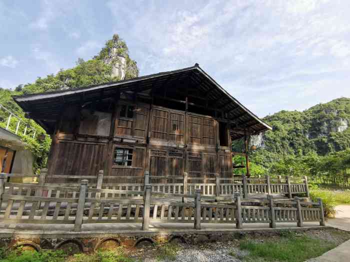 发现·弄岗-"为全面贯彻中央,自治区和崇左市委有关疫情.