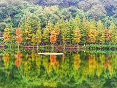 -重庆彩云湖湿地公园