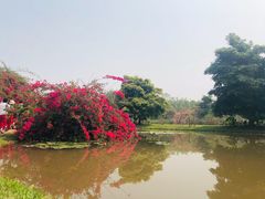 -中国科学院西双版纳热带植物园