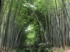 -同里国家湿地公园