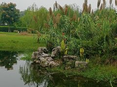 -眉山湿地公园(东坡区)