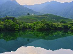 -龙坞茶村