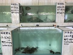 -海盗餐厅