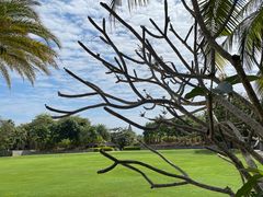 -海南清水湾莱佛士酒店