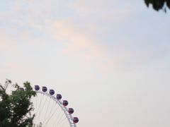游乐设施-北京石景山游乐园