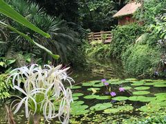 -华南国家植物园-售票处