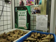 -金太粽(上海弄堂第一粽店)
