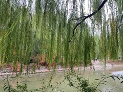 -南翠屏公园