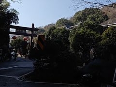 -龙井村