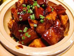 红烧肉-天福苑(崇宁路店)