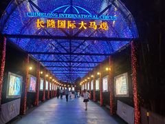 -广州长隆国际大马戏