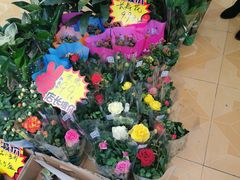 -桂林市花鸟市场