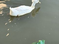 -苏州河梦清园环保主题公园