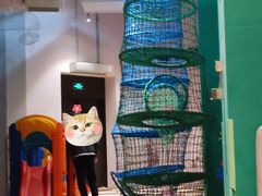 -The Rug Cafe(王府中环店)