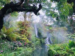 -Chom Cafe and Restaurant