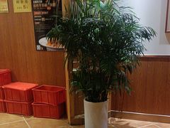-老雒阳面馆·水席(洛宁高速路口店)