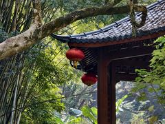 -黄埔油麻山森林公园