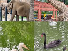 -济南野生动物世界