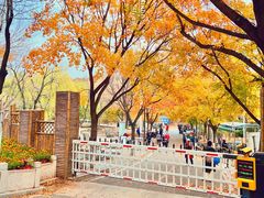 -北京石景山游乐园