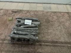 -南越王博物院(王宫展区)