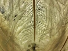 -伊斯坦布尔土耳其清真咖啡餐厅