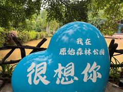 -西双版纳原始森林公园