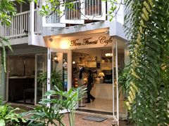 -Fern Forest Cafe
