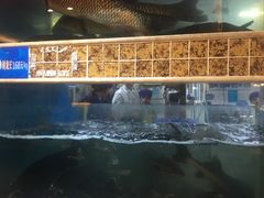 -大河宴·椒麻鱼火锅(北京路中和美食街店)