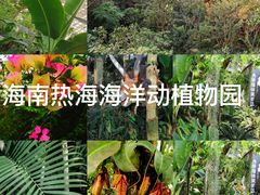 -海南热带野生动植物园