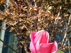 -中央广播电视总台(光华路办公区)