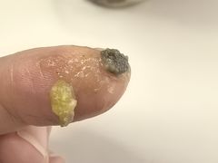 -B&C黄油与面包·THE GARDEN BAKERY概念店(世纪汇店)