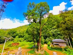 -终南山南五台景区