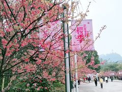-南山植物园