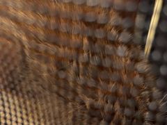 -瑞鹏瑞爱宠物医院·全科·猫科·血液透析中心(龙头寺店)